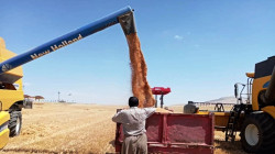 زراعة كوردستان تنجز أكثر من 50% من حملة الحصاد في خانقين دون حوادث تخريبية