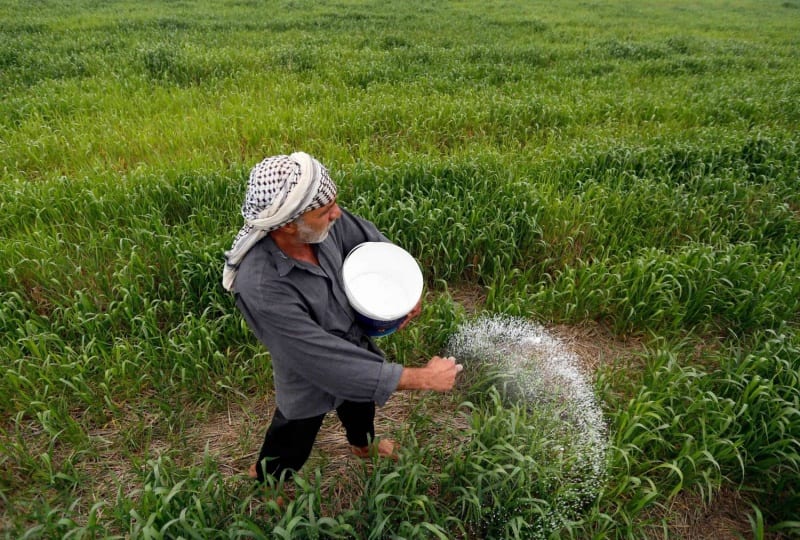 العراق يوقف استيراد 6 محاصيل زراعية