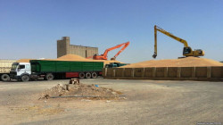  الجفاف يخفض انتاج القمح في كرميان لأكثر من 70%