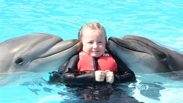 طفلتان تسرقان سيارة "للسباحة مع الدلافين"