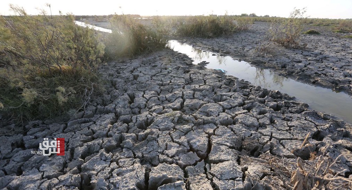 Catastrophic summer jeopardizes Iraqs disasterstricken Marshes