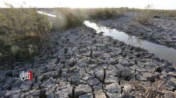Catastrophic summer jeopardizes Iraq's disaster-stricken Marshes
