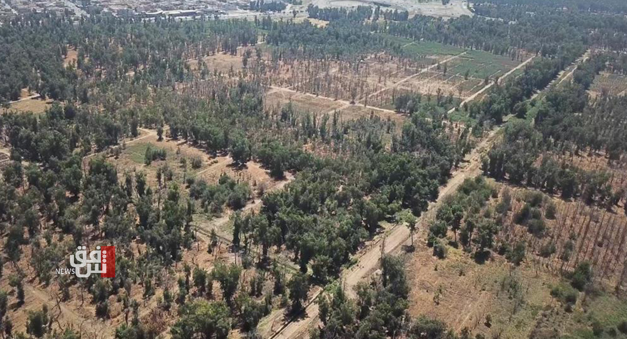 Drought and war remnants jeopardize the Forests of Mosul