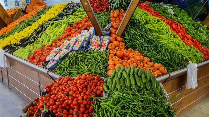 Iraq among top importers of Turkeys fresh fruits and vegetables