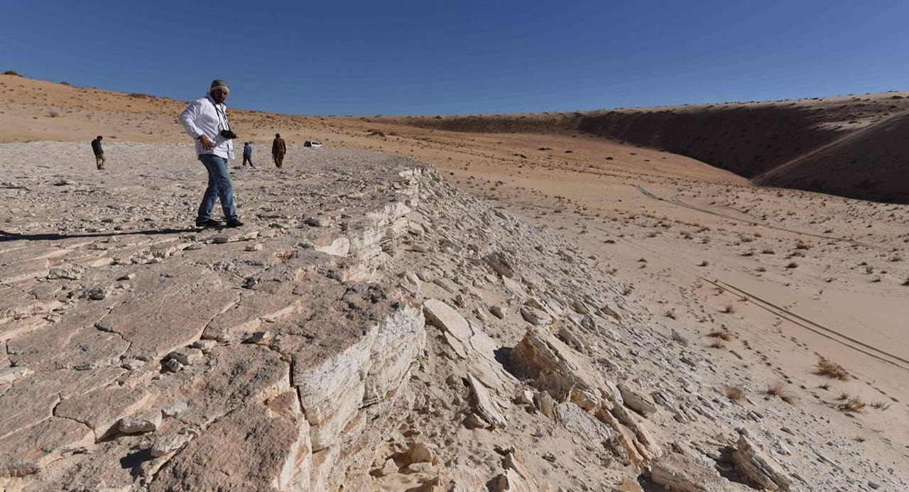 اكتشاف بقايا حوت منقرض في صحراء السعودية