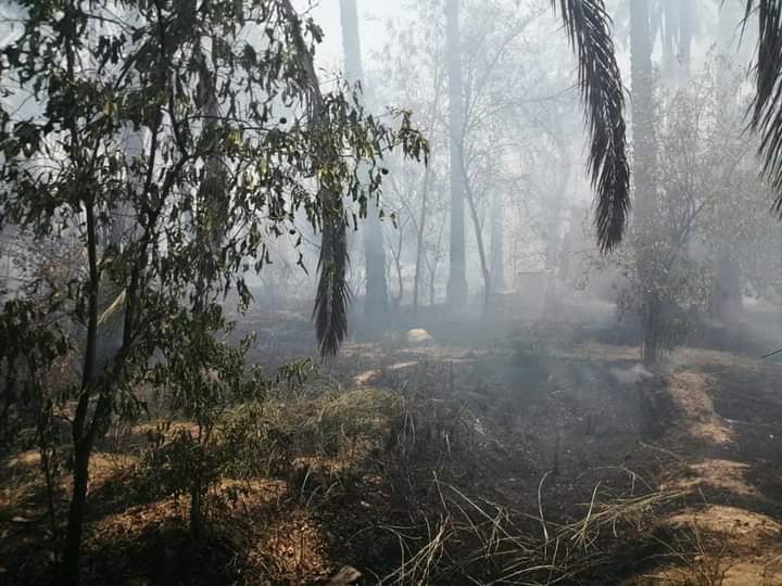 Fire destroys more than six dunums of orchards south of Baquba 