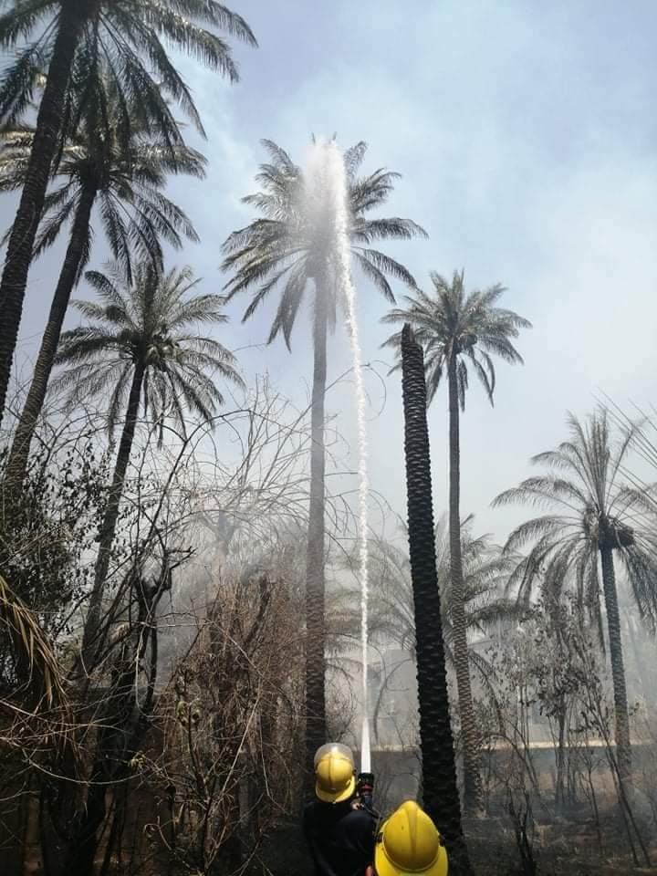 Fire destroys more than six dunums of orchards south of Baquba 