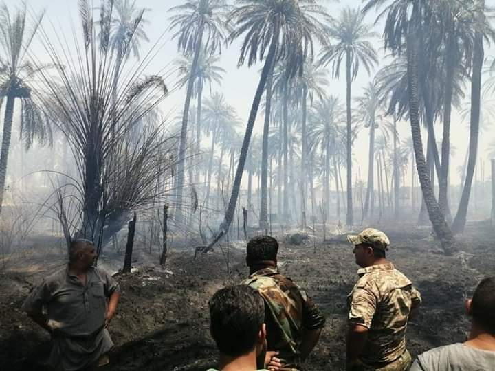 Fire destroys more than six dunums of orchards south of Baquba 