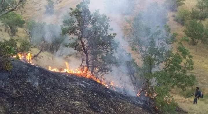 صور .. نشوب حريق في أكثر من 200 دونم من الأراضي في السليمانية 