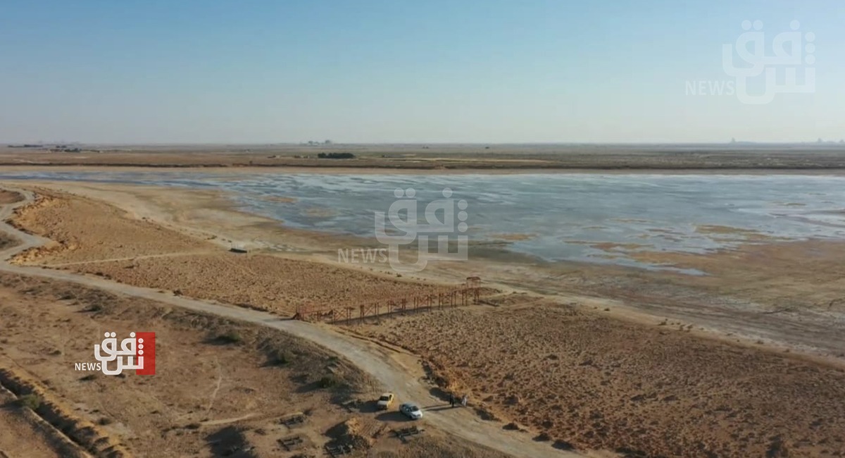 معجزة بيولوجية وجيولوجية.. ماذا تعرف عن بحيرة "ساوة" جنوبي العراق؟ (صور+ فيديو)