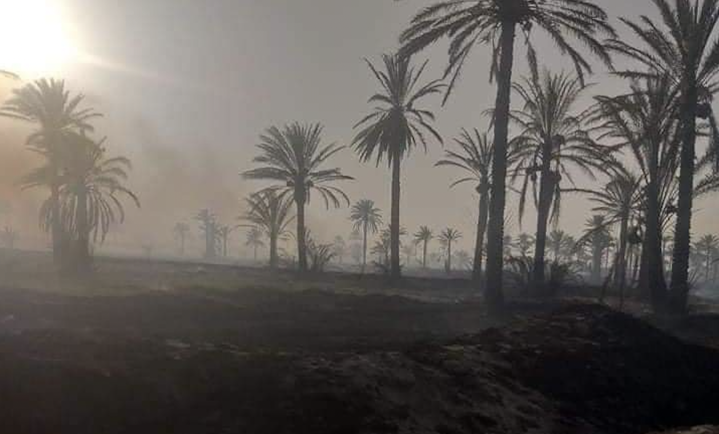 Fire destroys more than  dunums of orchards in Diyala 