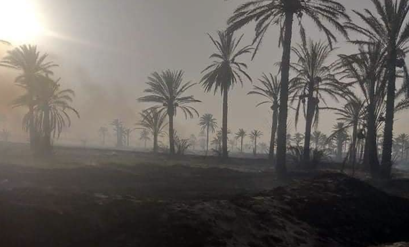 Fire destroys more than 50 dunums of orchards in Diyala 