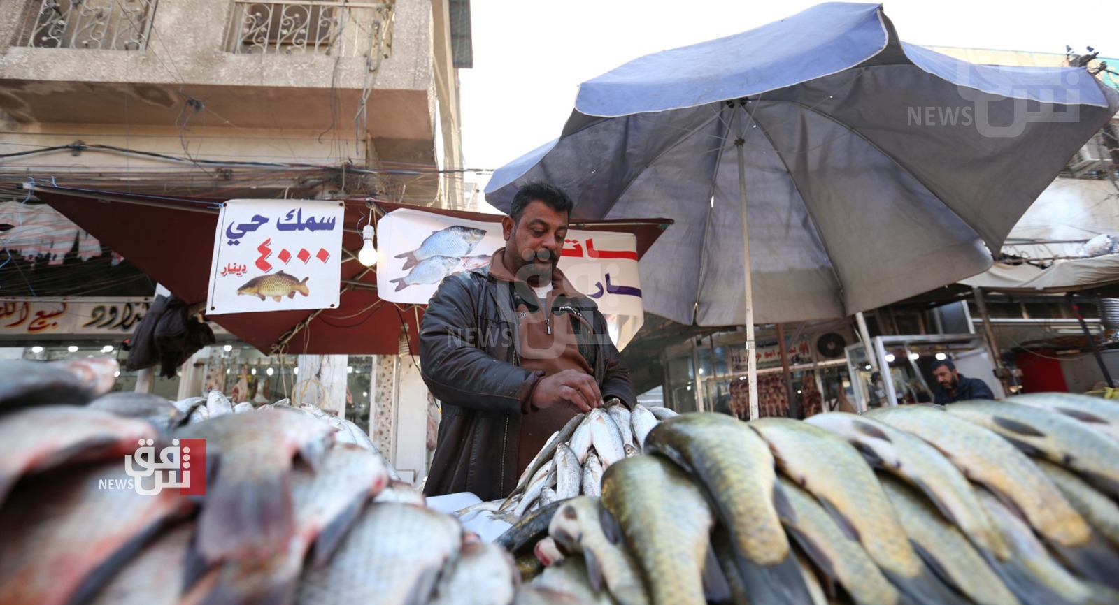 Why did fish leave Iraqis' meals?