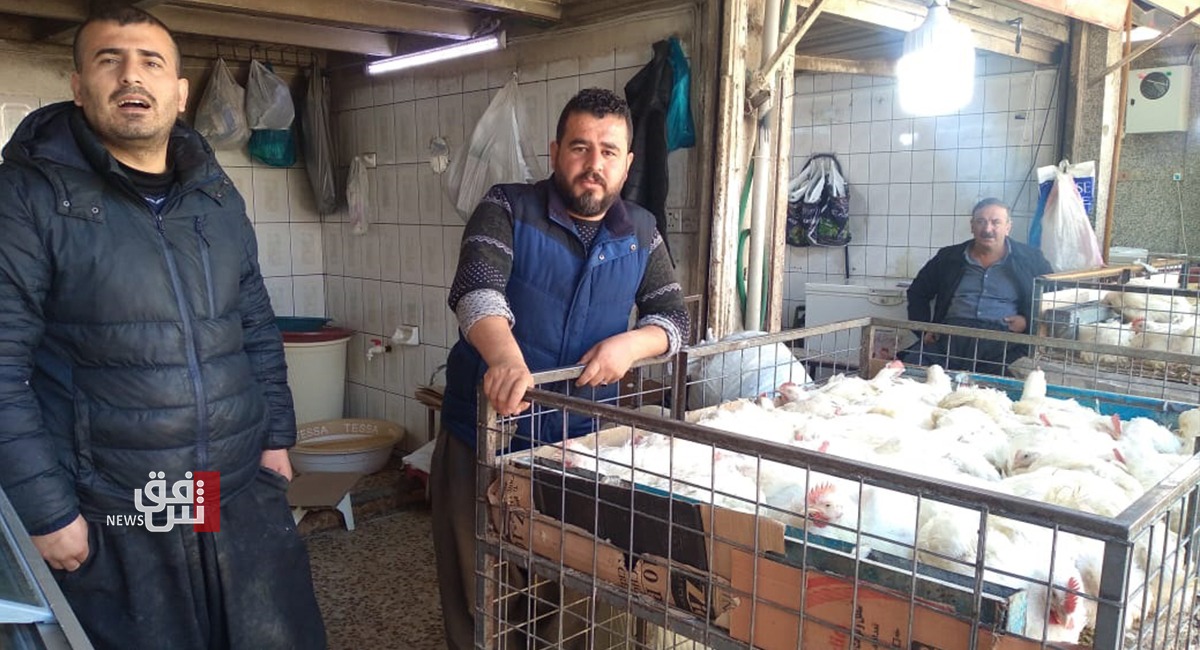 العراق يسمح باستيراد بيض التفقيس وانتقال الحيوانات الحية المحلية بين محافظاته