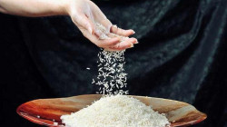 Shipping crisis halts rice exports to Iraq