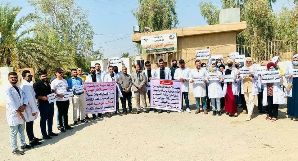 اضراب للاطباء البيطريين احتجاجا على تجميد قانون أقره البرلمان