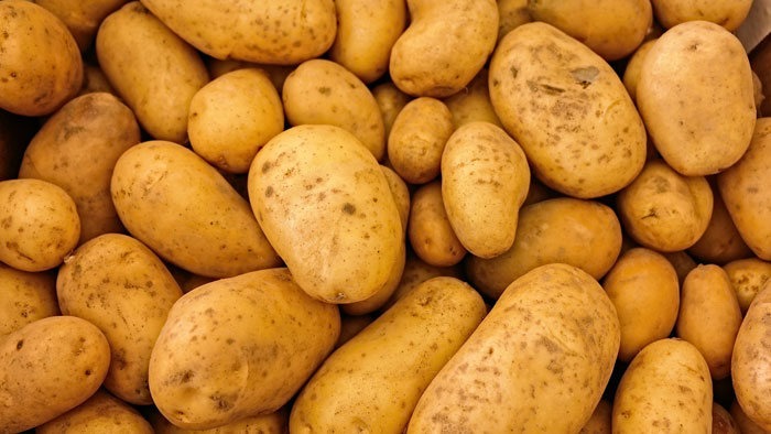  العراق يحظر دخول البطاطا والعنب ويشرع بتصدير المحصول الأول