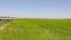 USAID allocate a one million dollars program to develop Kurdistan's agricultural field