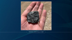 صور.. السماء تهدي امرأة كندية آلاف الدولارات