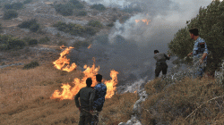 سوريا تعدم 24 شخصاً لتورطهم بإشعال حرائق