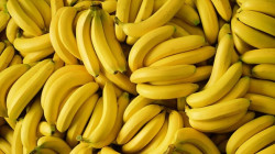 توضيح رسمي حول وجود ديدان بمنتجات الموز في إقليم كوردستان