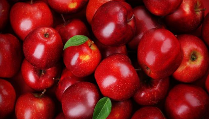 العراق ثالث أكبر مستورد للتفاح التركي بين 72 دولة بالعالم