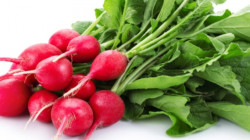 عراق قەیەغەی هاوردەکردن شەش بەرهەم کشتوکاڵی کەێد