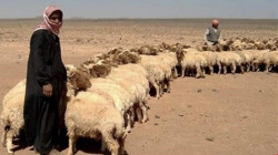 ISIS release a shepherd abducted with two companions three days ago; keeps two in custody 