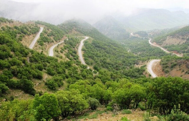 Kermanshah forests produce oxygen for five million persons annually 
