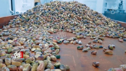 Manna of heaven: al-Sulaymaniyah's hallmark and Kurdistan’s Natural candy 