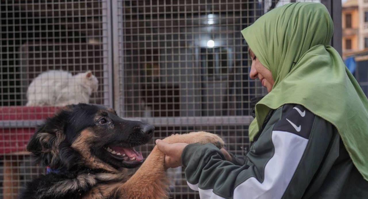 وسط "القسوة" العراقية.. سيدة تكافح وحدها لحماية حيواناتها السائبة