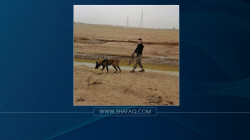 The Ministry of Peshmerga participates in the search campaign for the missing people in the floods