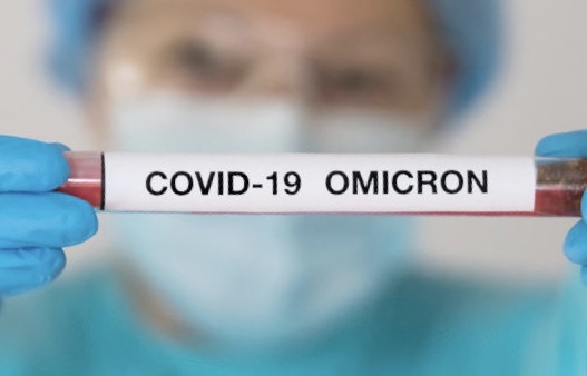 Omicron infects the Upper Respiratory Airway