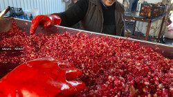 إقليم كوردستان يرفع الحظر عن استيراد فاكهة الرمان