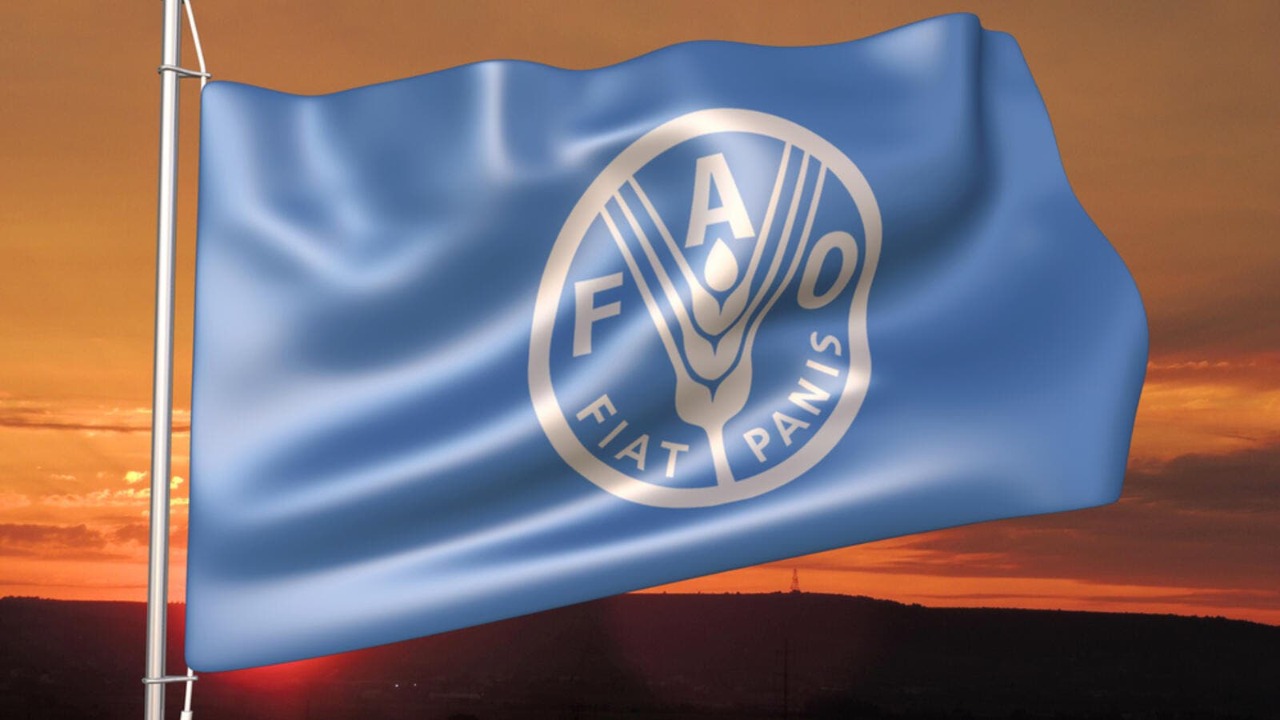Iraq to host the 36th session of FAO' NERC