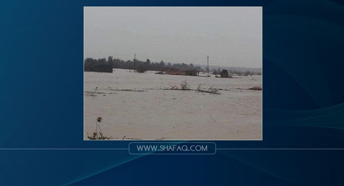 الأمطار تنقذ 70 الف دونم من الزراعة الديمية في صلاح الدين