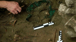 1st bioengineered hybrid animals discovered — in ancient Mesopotamia