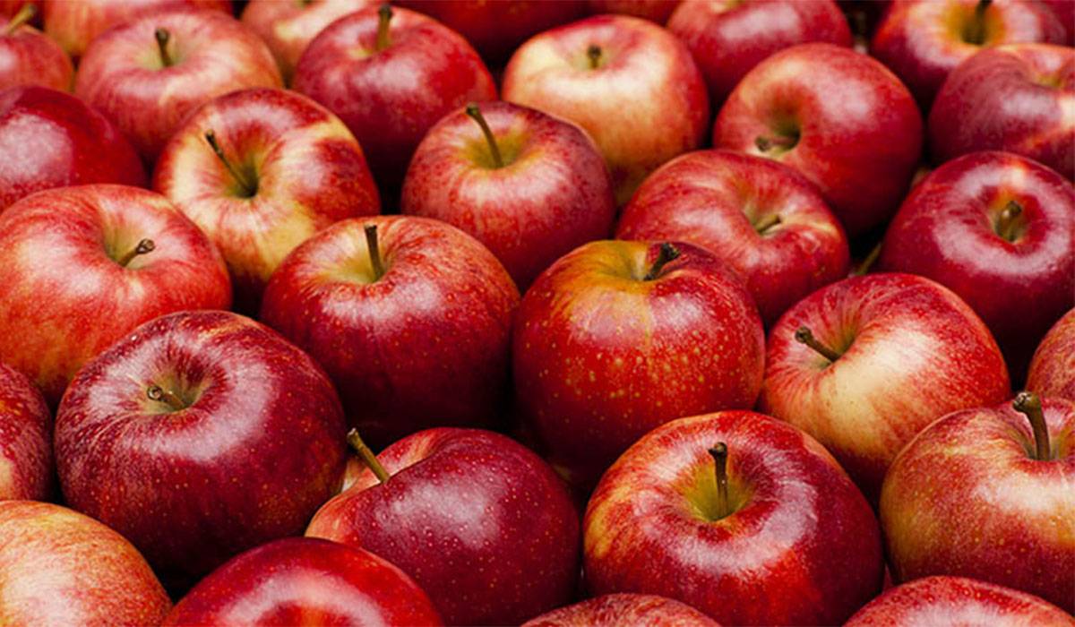 العراق يحتل المرتبة الرابعة عالمياً في استيراد التفاح التركي