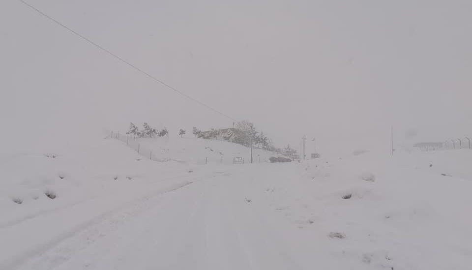 صور .. الثلوج تغلق طريقاً حيوياً في إقليم كوردستان 