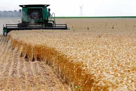 Due to tension in the Black Sea, Iraq seeks alternative grain markets