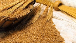 العراق الاول عالميا باستيراد الحبوب من تركيا في كانون الثاني الماضي