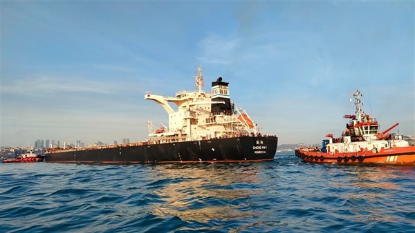 Turkey Closes Bosphorus Strait Over Malfunctioning Cargo Ship