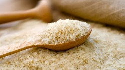 أسعار الأرز الآسيوي ترتفع والعراق يطلب شراء الرز التايلندي 