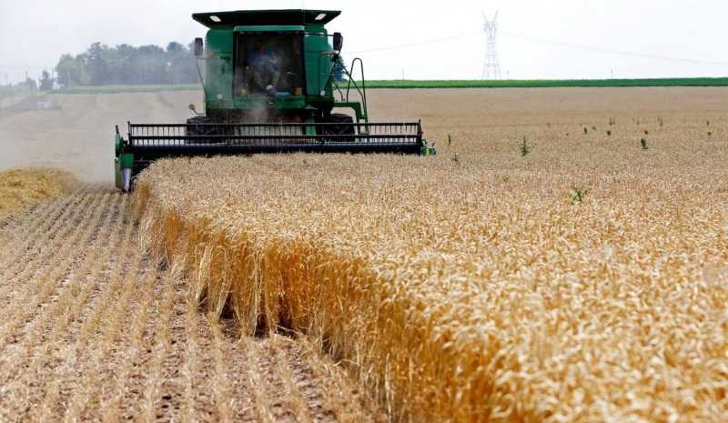 Ukraine's grain export situation worsening by the day, says agriculture minister