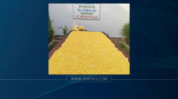 الإطاحة بتاجر مخدرات بحوزته نحو مليوني حبة مخدرة في الانبار