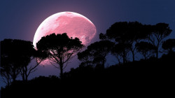 ترقب لمشاهدة القمر الوردي من السبت إلى الاثنين