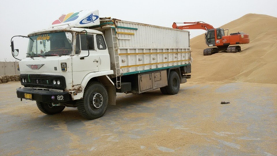 إقليم كوردستان يعلن كميات الحنطة المستلمة من فلاحيه