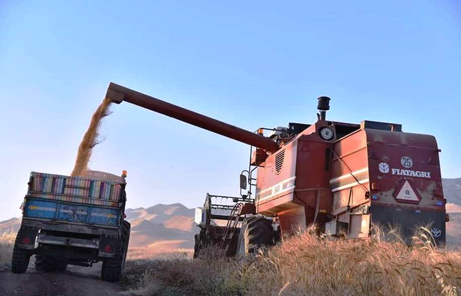 منطقة كوردستانية تستعد لحصاد اكثر من 100 ألف دونم من القمح