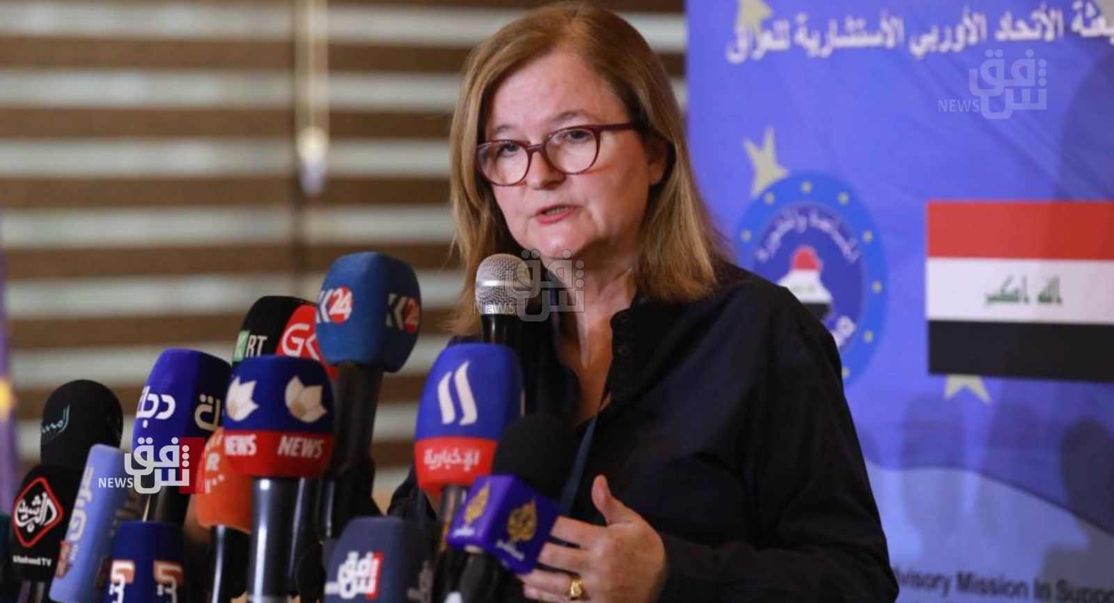 Loiseau stressed EU's support to Iraq in its war against terrorism  