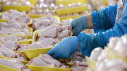 العراق يستورد نصف صادرات تركيا من اللحوم البيضاء